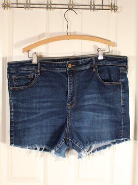 AE American Eagle Jean shorts cut offs Plus size 20